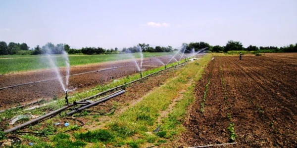 Δ. Χύτας: «Για το "δημόσιο συμφέρον" εγκρίθηκαν αμοιβές & ασφαλιστικές εισφορές των μελών του Δ.Σ. του ΟΔΥΘ άνω των 500.000€» -Άρθρο