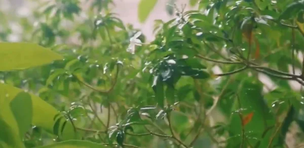 Πορτοκαλί συναγερμός για επιδείνωση του καιρού - video