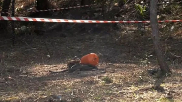 Χαλκιδική: Τι έδειξε η ιατροδικαστική εξέταση για τη σορό που βρέθηκε μέσα σε σακούλα στον Γλαρόκαβο