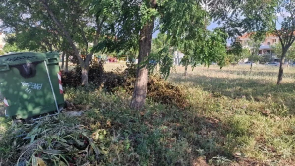 Τι αλλάζει στους καθαρισμούς των οικοπέδων με το νομοσχέδιο «Ενεργή Μάχη»