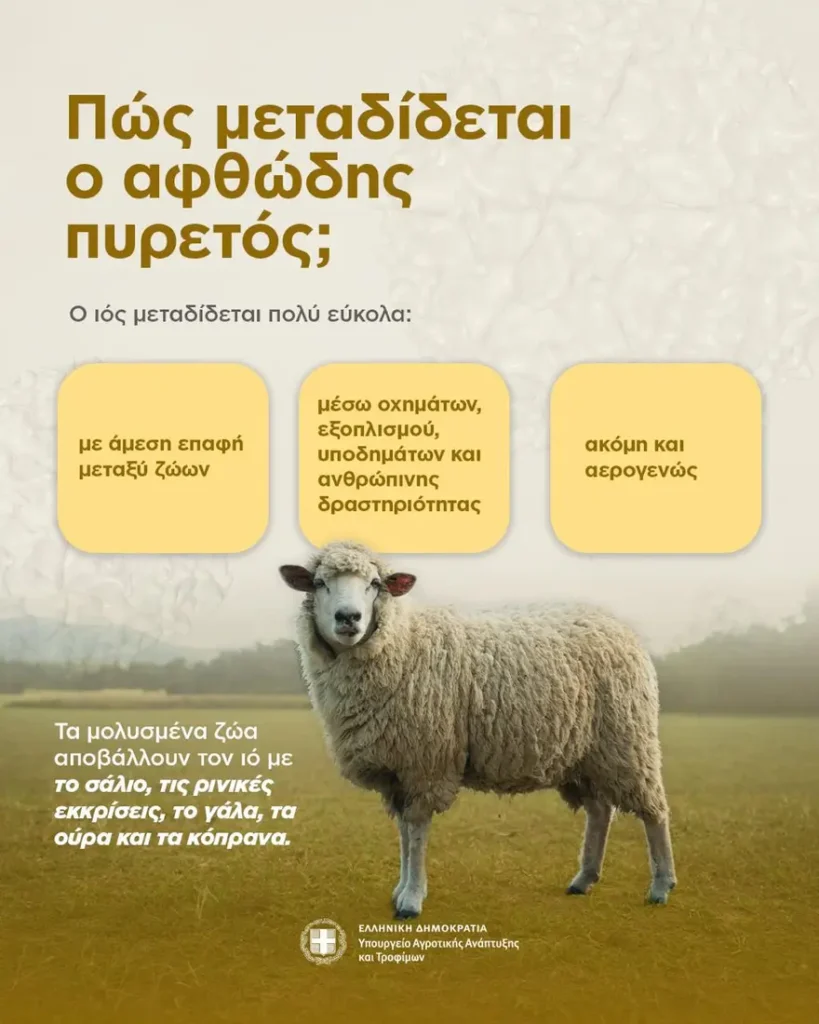 Αφθώδης πυρετός - Τι είναι, πώς μεταδίδεται