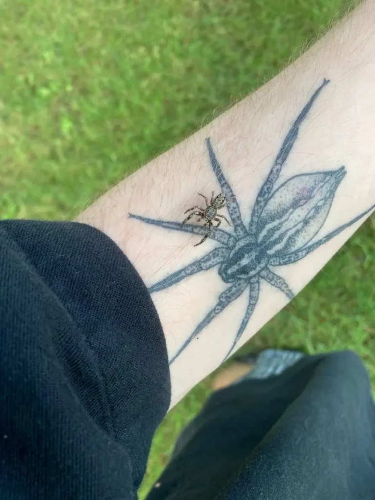 Φοβάστε τις αράχνες; Ο πραγματικός εφιάλτης είναι ένας κόσμος χωρίς αυτές