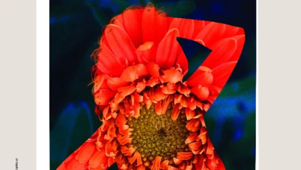 «Ανθίζω, Καρπίζω, προχωρώ»: Έκθεση φωτογραφίας της Δ. Κατσώχη υπό την αιγίδα του Μορφωτικού Ιδρύματος της ΕΣΗΕΑ