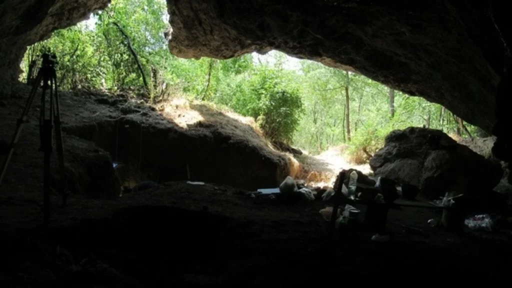 Γενετική ομοιομορφία των ύστερων Νεάντερταλ ίσως οδήγησε στην εξαφάνισή τους, αποκαλύπτει μελέτη Ελληνίδας ερευνήτριας