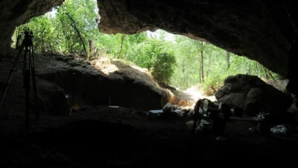 Γενετική ομοιομορφία των ύστερων Νεάντερταλ ίσως οδήγησε στην εξαφάνισή τους, αποκαλύπτει μελέτη Ελληνίδας ερευνήτριας