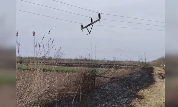 Σέρρες: Καίνε τα ξερά καλάμια, τα χόρτα και τις κολόνες του ΔΕΔΔΗΕ - video