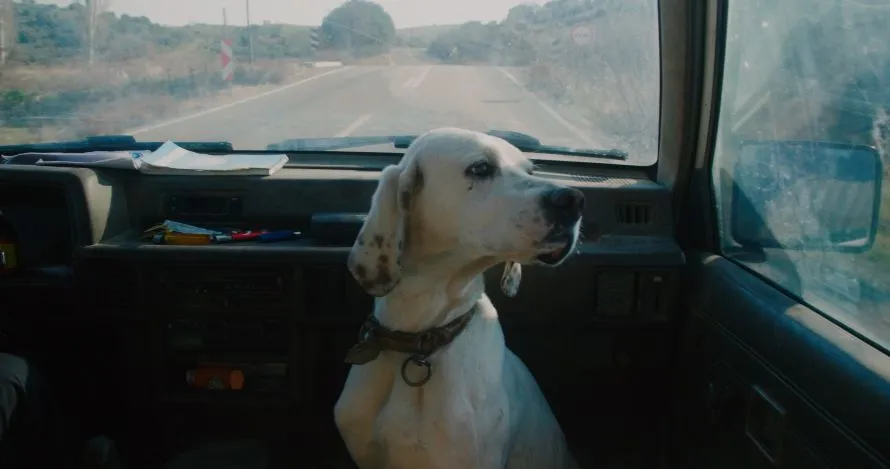 28ο ΦΝΘ: Ο σκηνοθέτης του «EXILE(S), ιστορίες ενός νησιού» μιλά για το τραύμα που δε γνωρίζει σύνορα