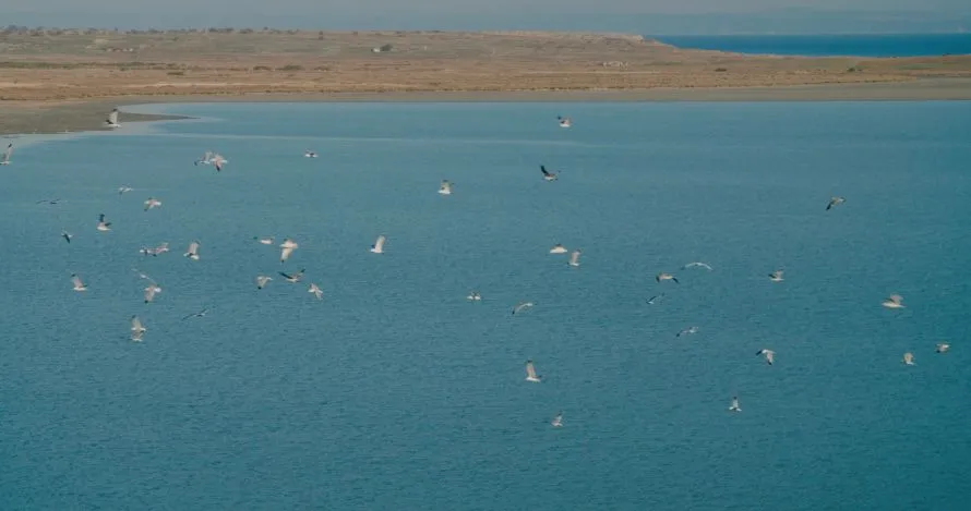 28ο ΦΝΘ: Ο σκηνοθέτης του «EXILE(S), ιστορίες ενός νησιού» μιλά για το τραύμα που δε γνωρίζει σύνορα