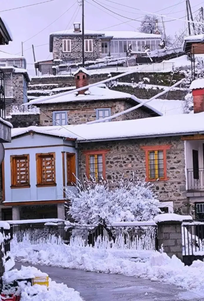 Μηλιά Μετσόβου: Το χωριό που βαλσάμωσε αρκούδα και τη τοποθέτησε στην πλατεία του