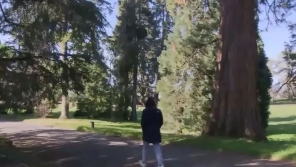 Ημερίδα στις Σέρρες: «Ανήλικη Παραβατικότητα & Ο Κύκλος της Βίας»