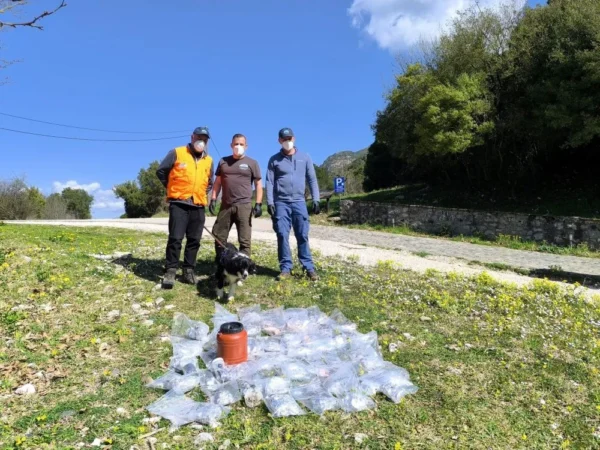 Θεσσαλονίκη: Ποιοι σκοτώνουν την πανίδα στον Γράμμο και την Δαδιά του Έβρου;