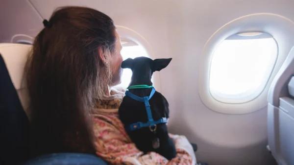 Πτήση για τον επαναπατρισμό Ελλήνων με κατοικίδια από το ΥΠΕΞ