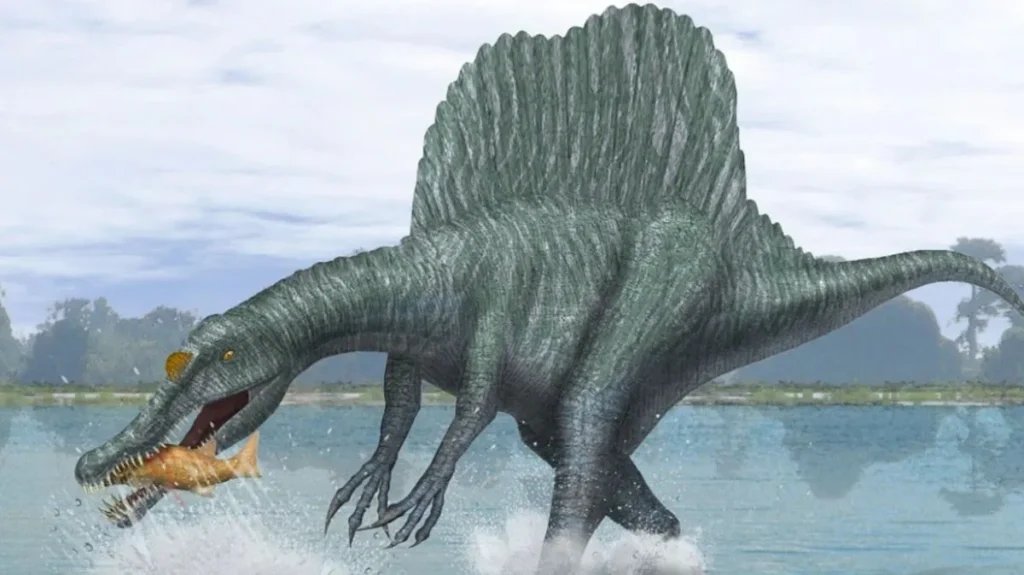 Εντοπίστηκε νέο είδος Σπινόσαυρου: Ζούσε σε ποτάμια πριν από 95 εκατ. χρόνια αλλά ίσως δεν ήταν κολυμβητής