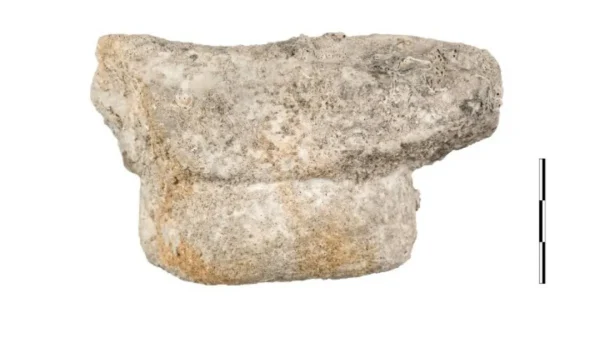 ΥΠΠΟ: Tα αποτελέσματα υποβρύχιας ανασκαφής στο Μπρίκι «ΜΕΝΤΩΡ» (2025). Για πρώτη φορά εντοπίστηκε θραύσμα γλυπτού διακόσμου από το πολύτιμο φορτίο του πλοίου