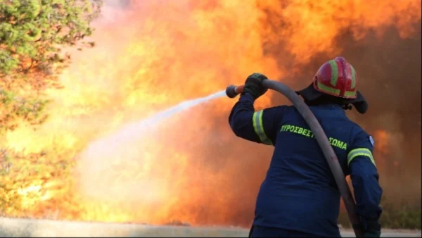 Από τη Φλώρινα στη NASA: Ο πυροσβέστης που έβαλε την AI στη μάχη με τις φλόγες - Τι είναι το FireGuard 112+