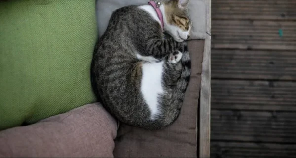 Αλλάζουν από σήμερα οι ώρες κοινής ησυχίας - Τι απαγορεύεται να κάνουμε