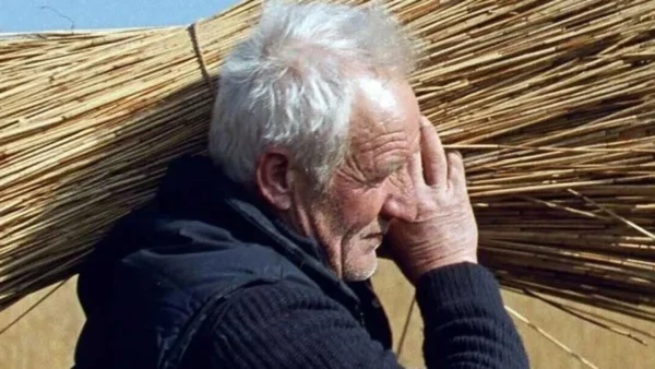 Ταινίες Πρώτης Προβολής: Μια ολλανδική έκπληξη, ένα καυτό ζευγάρι, ο Βιβάλντι, η Γοργόνα και ο Super Mario